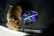 Load image into Gallery viewer, RD Crossbody Wet Bag